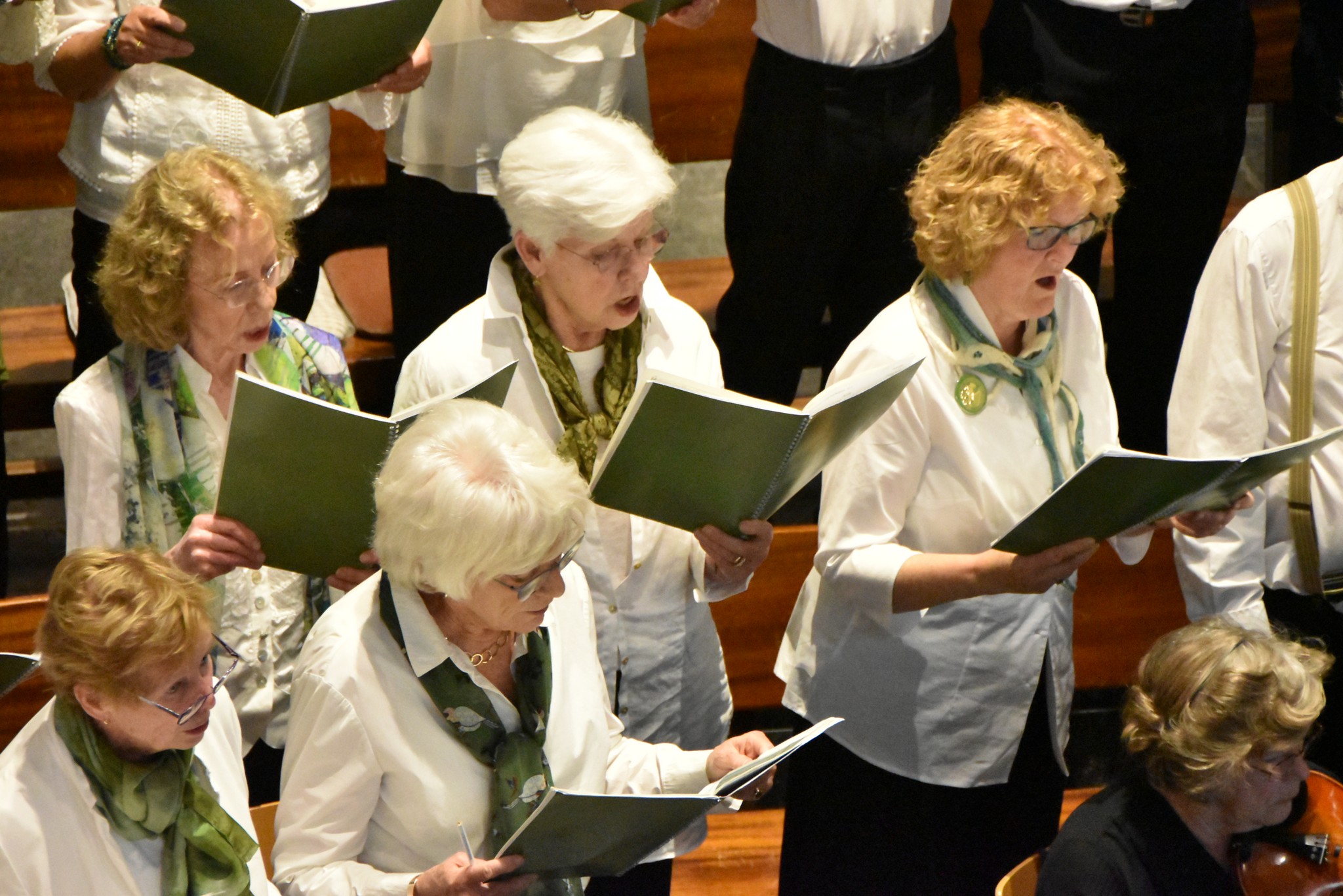 2026-Voorjaarsconcert-10