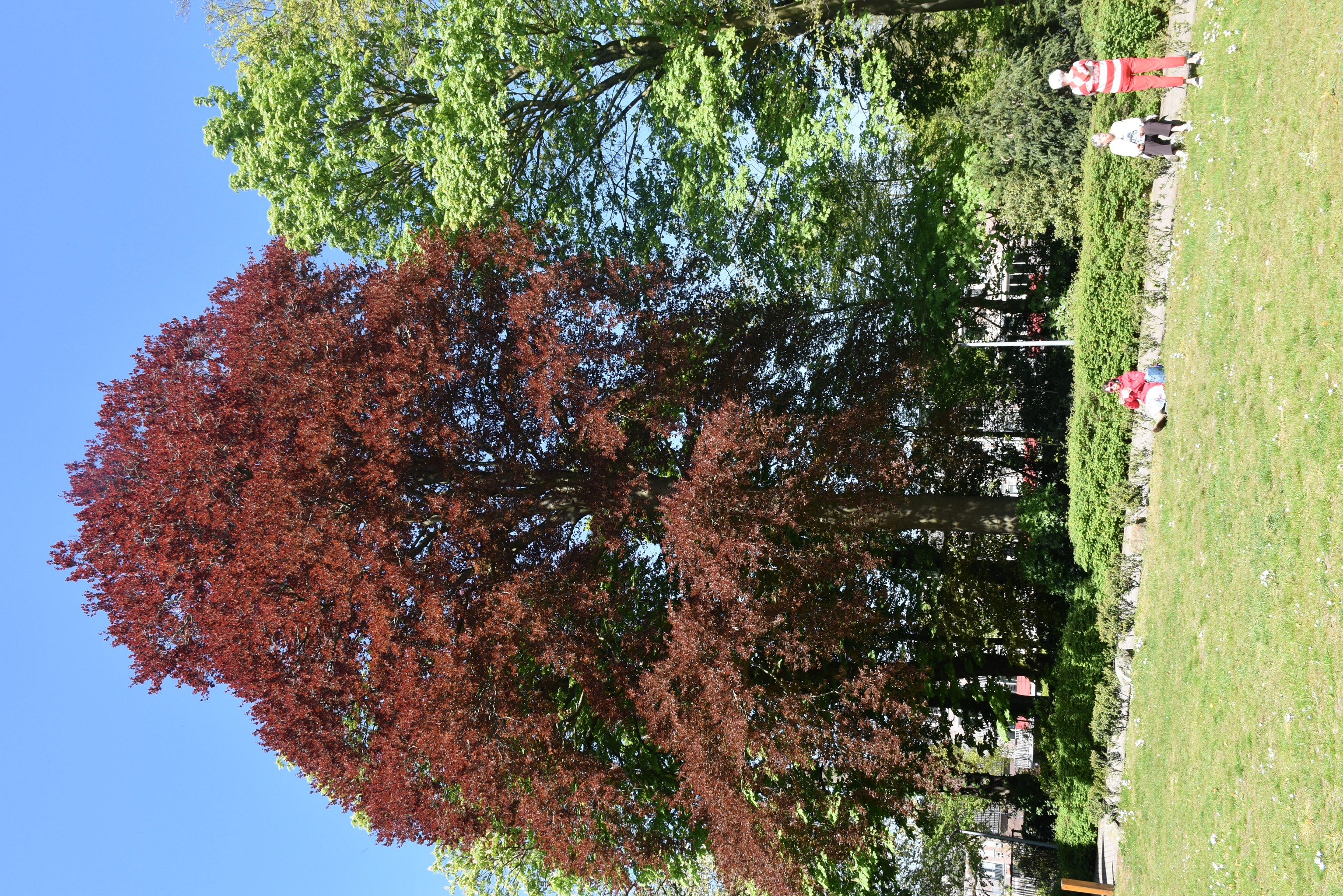 koordag april 2026-9